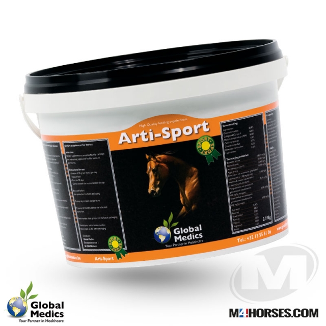 Arti Sport 