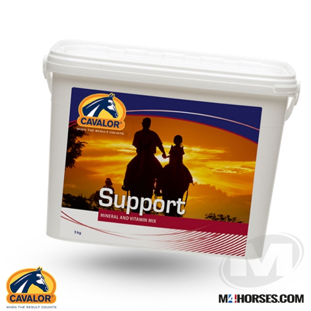 Support 