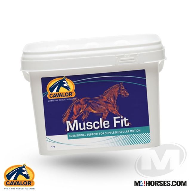 Muscle Fit 
