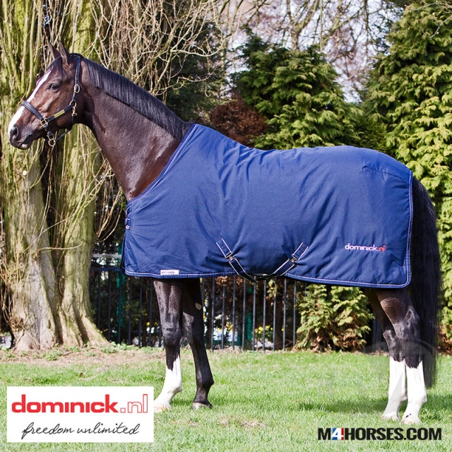 winterdeken Stable
