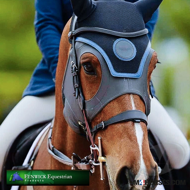 Fenwick Liquid Titanium Mask