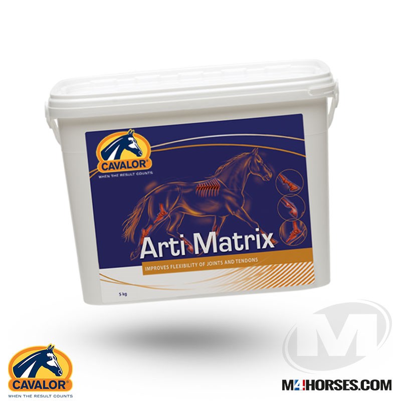 Arti Matrix 