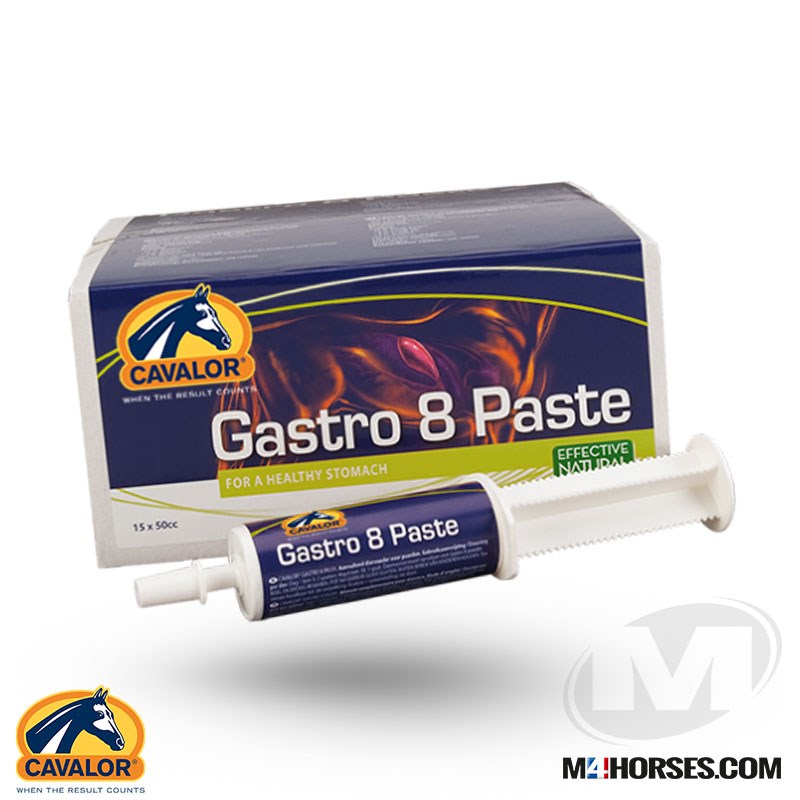 Gastro 8 Pasta