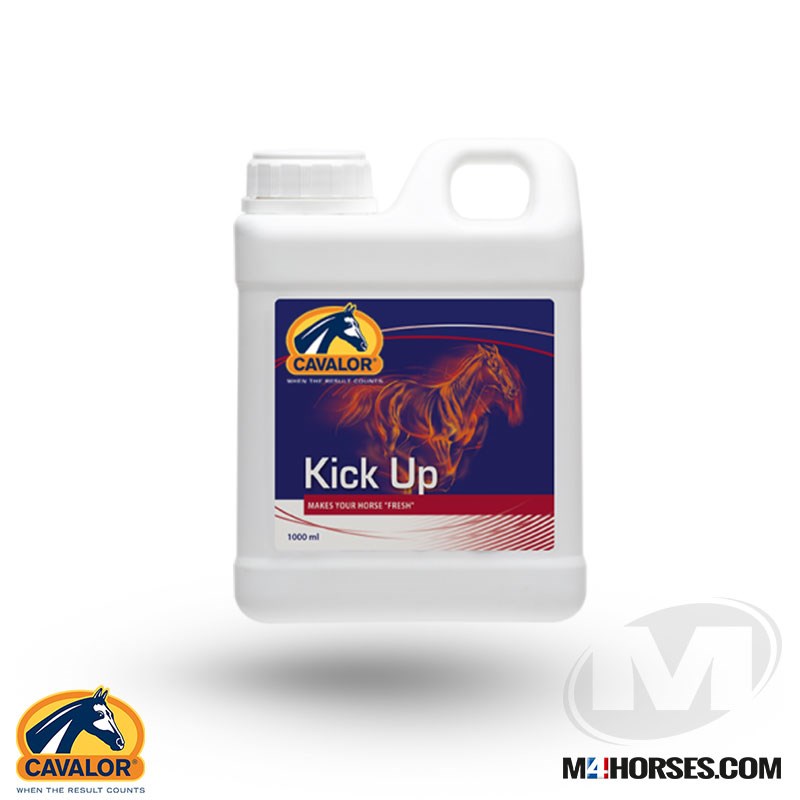 Kick Up