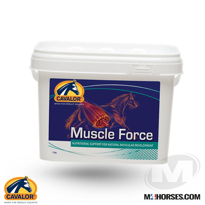 Muscle Force 