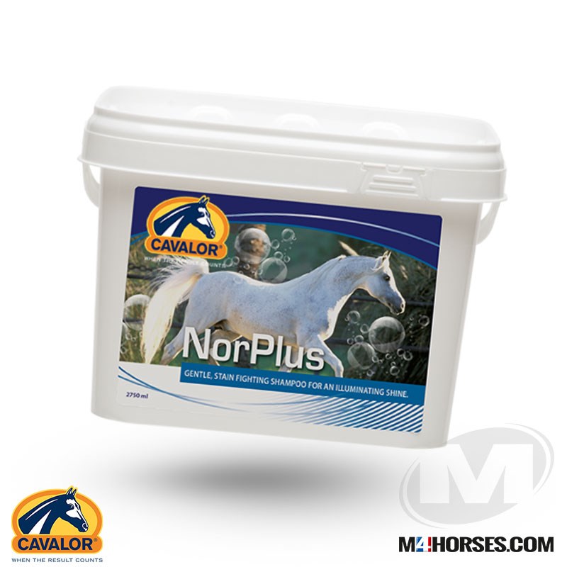 NorPlus